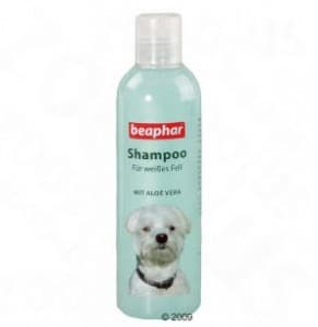 Shampoo für die Fell Pflege des Shih Tzu