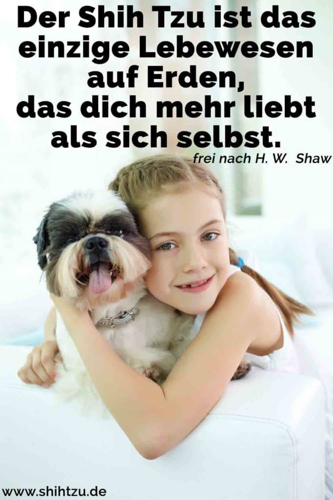 Shih Tzu Zitate und Sprüche Shih Tzu