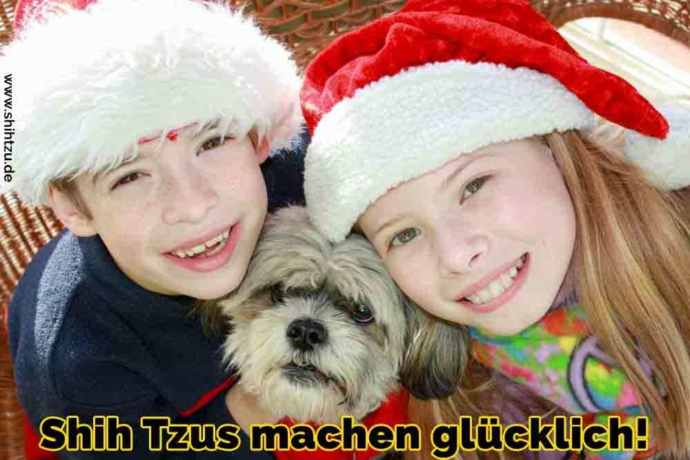 Zwei Kinder feiern Weihnachten mit Ihrem Shih Tzu